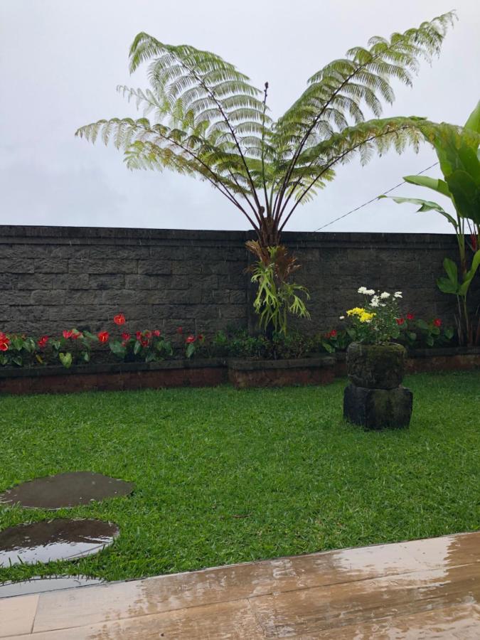 Buyan Lodge Lake View Villa Bedugul  Dış mekan fotoğraf